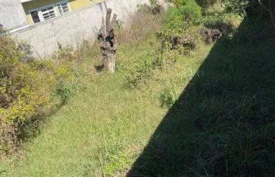Terreno para alugar, 576 m² por r$ 2.646,12/mês - lindóia - curitiba/pr