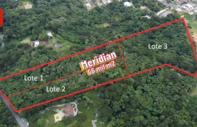 Terreno à venda, 66589 m² por r$ 4.900.000,00 - ferraria - campo largo/pr