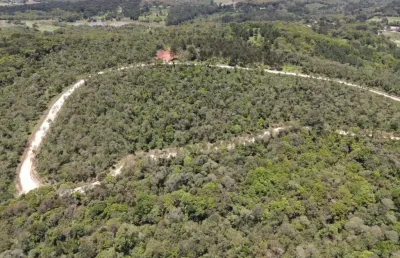 Chácara / sítio à venda no Roseira, Campina Grande do Sul 