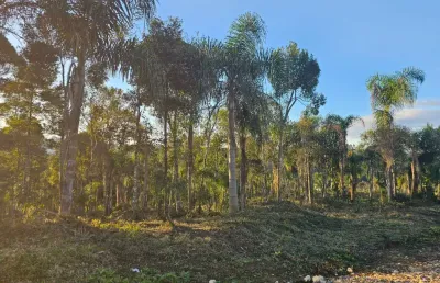 Belíssima área na roseira divisa de colombo com campina grande do sul