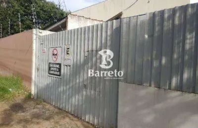 Terreno para alugar, 600 m² por r$ 6.600,00/mês - vila larsen 1 - londrina/pr