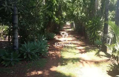 Chácara à venda, 30 m² por r$ 900.000,00 - zona rural - ibiporã/pr