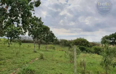 Terreno à venda no Avecuia do Alto, Porto Feliz 