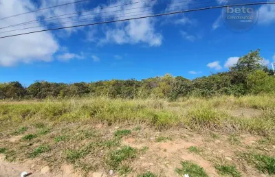 Área à venda, 100000 m² por r$ 10.000.000,00 - taperinha - itu/sp
