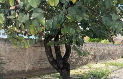 Terreno à venda na Rua José Egydio da Fonseca, Jardim Faculdade, Itu
