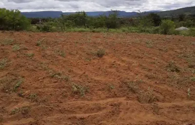 Terreno 1600 m², nascente, próximo a faculdade  ages a 4km da cidade de jacobina 360 graus de vista