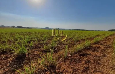 Terreno à venda em nova odessa-sp, bairro jardim das palmeiras i, com 48.400m² de área! aproveite essa oportunidade única!