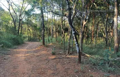 Chácara condomínio para venda em esmeraldas, santa cecilia