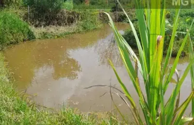 Chácara para venda em contagem, retiro, 2 dormitórios, 1 banheiro