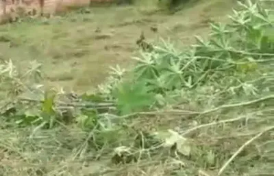 Terreno à venda no Novo Retiro, Esmeraldas 