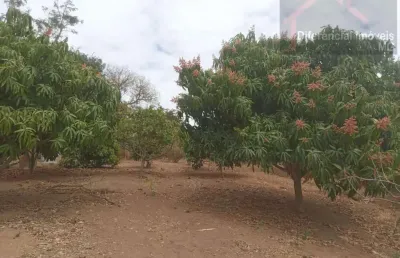 Chácara para venda em esmeraldas, área rural, 3 dormitórios, 1 suíte, 3 vagas
