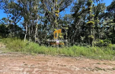 Terreno à venda na Praia Grande, Matinhos 