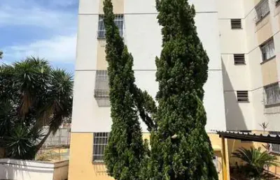 Apartamento com 2 quartos à venda na rua erva mate, piratininga (venda nova), belo horizonte, 45 m2 por r$ 215.000