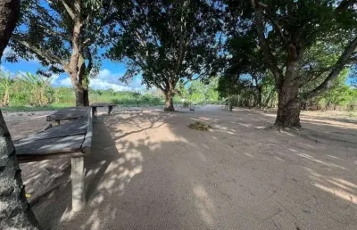 Sítio com 1 dormitório à venda, 22000 m² por r$ 350.000 - morro grande - araruama/rj