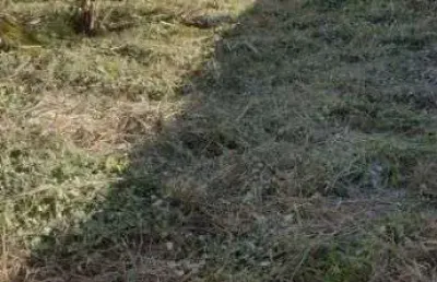 Terreno à venda, 432 m² por r$ 180.000,00 - praia do barbudo - araruama/rj