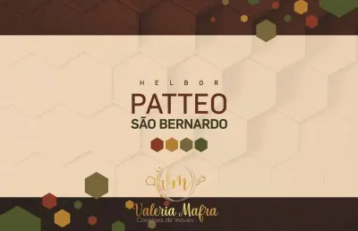 Apartamento para venda em são bernardo do campo, planalto, 3 dormitórios, 1 suíte, 2 banheiros, 2 vagas