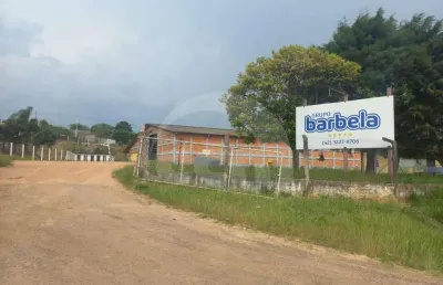 Comercial para aluguel, 20 vagas, boa vista - ponta grossa/pr