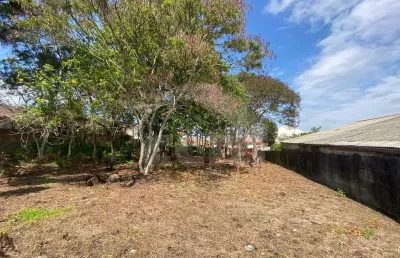 Lote/terreno para aluguel, jardim carvalho - ponta grossa/pr