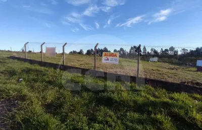 Terreno para alugar na Rua Clycema Kozzatz Carvalho, Neves, Ponta Grossa