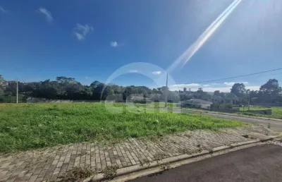 Terreno à venda na Estrada João Henrique Van Wilpe, Jardim Carvalho, Ponta Grossa