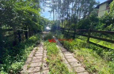 Chácara com 2 dormitórios para alugar, 2900 m² por r$ 6.000,00/mês - itaici - indaiatuba/sp