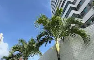Vende-se apartamento amplo com 3 suites, área comum completa no bairro rosarinho