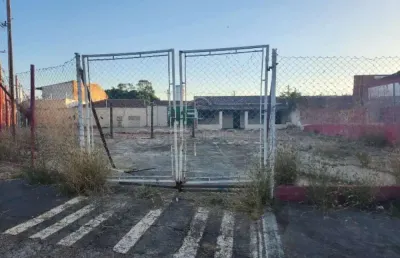 Terreno comercial para alugar na Avenida Danilo Galeazzi, Jardim João Paulo II, São José do Rio Preto