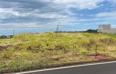 Terreno à venda no Centro, Mirassol 