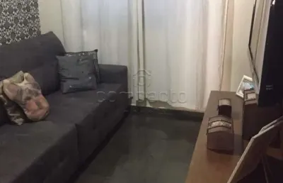 Casa com 3 quartos à venda no Jardim Simões, São José do Rio Preto 