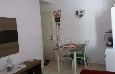 Apartamento com 2 quartos à venda no Loteamento Clube V, São José do Rio Preto 