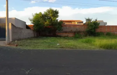 Terreno à venda no Avenida Parque, Bady Bassitt 