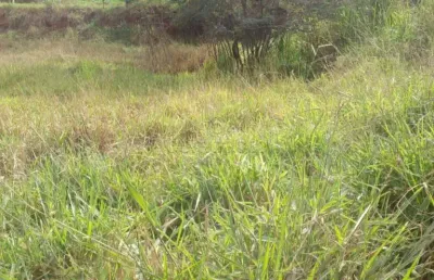 Terreno à venda no Estância São Pedro (Zona Rural), São José do Rio Preto 