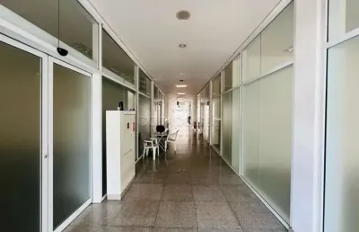 Prédio para alugar na Avenida Mirassolândia, Solo Sagrado, São José do Rio Preto