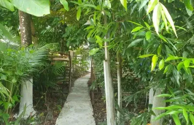 Terreno à venda no Centro, Soure 