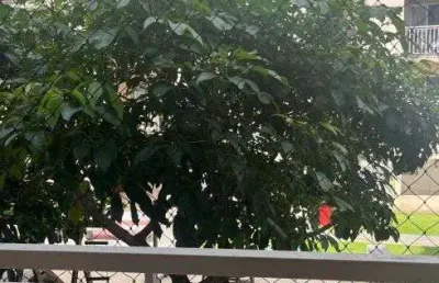 Apartamento com 2 quartos para alugar na Estrada do Tapanã, 813, Tapanã (Icoaraci), Belém