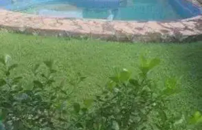 Casa em condomínio fechado com 3 quartos para alugar na Passagem São Pedro, 14, Atalaia, Ananindeua