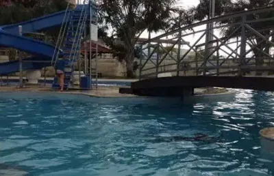 Ng imóvel para venda tem 450 metros quadrados em parque verde - belém - pa