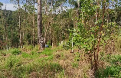 Terreno à venda na Rua Henrique Hessel, 4500, Parque Florestal, São Paulo