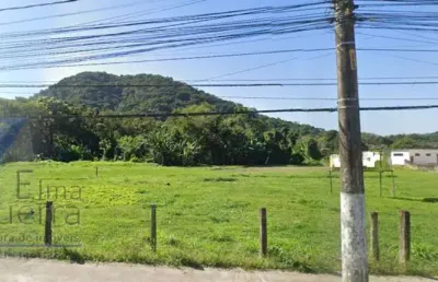 Ubatuba, mato dentro - área com 15.000 m² - 130 metros de testada para rodovia.