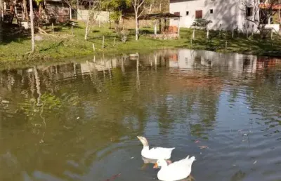 Ubatuba- horto florestal - sitio com excelente localização, com terreno de 21 mil m2.
