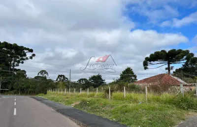 Terreno à venda na rua paraíso, 1150, roseira de são sebastião, são josé dos pinhais, 520 m2 por r$ 279.900