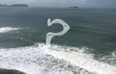 Apartamento com 4 quartos à venda na rua marechal floriano peixoto, --, pitangueiras, guarujá por r$ 1.650.000