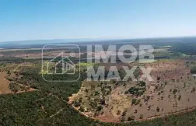 Fazenda a venda em formosa: 281 hectares, água perene, dupla aptidão - escriturada e registrada.