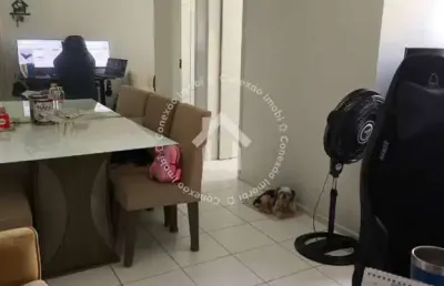 Apartamento à venda no condomínio mais viver pacífico - rosa elze | 2 quartos e gás canalizado
