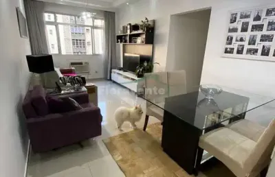 Apartamento com 2 dorms, itararé, são vicente - r$ 446 mil, cod: 6480