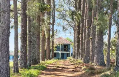 Vende-se belissimo sitio na estacia  grande em viamao