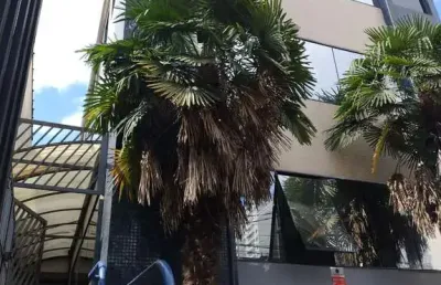 Prédio comercial  venda / locação   1.000 m²     vila  mariana  são paulo
