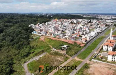 Terreno para locacao 8.000 m2 no tatuquara - supermercado/centro comercial