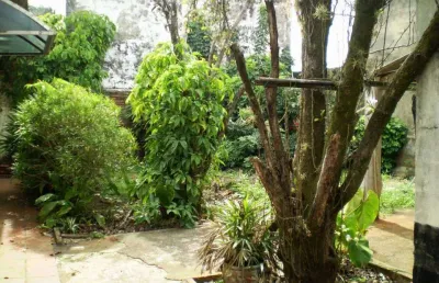 Casa com 3 quartos à venda no Centro, Santa Bárbara D'Oeste 