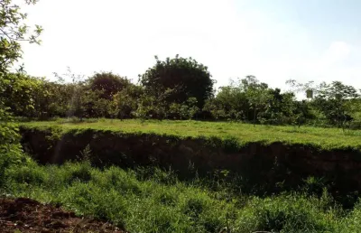 Venda - área - parque olaria - santa bárbara d'oeste - sp